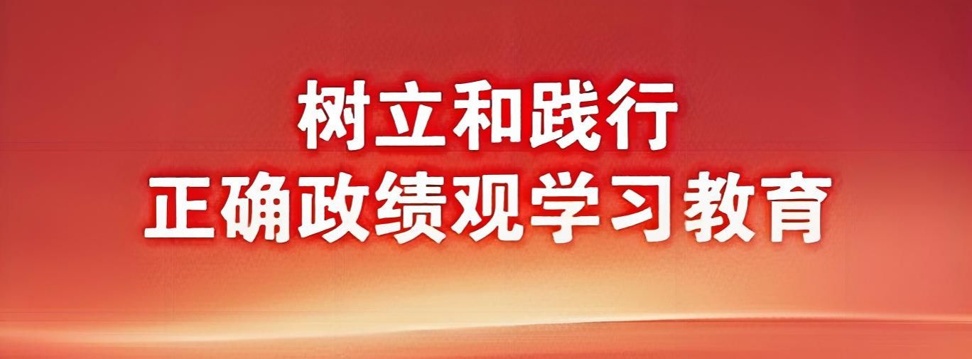 树立和践行正确政绩观学习教育