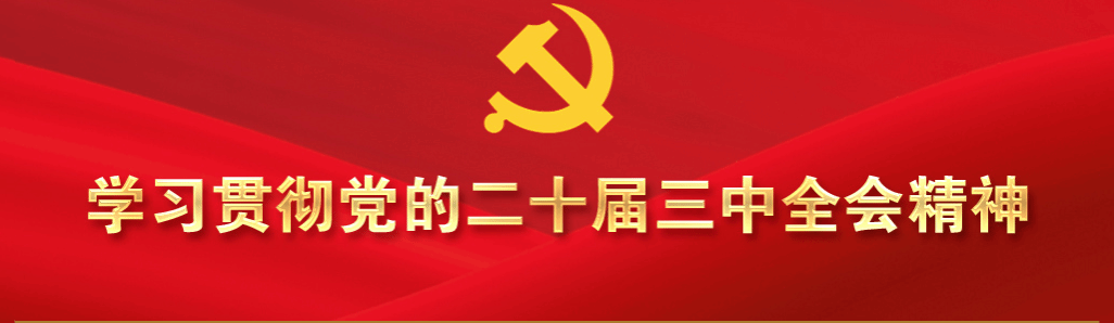 学习贯彻党的二十届三中全会精神